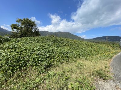 大津市のテナントイメージ  貸土地（ 大津市南小松　貸土地）